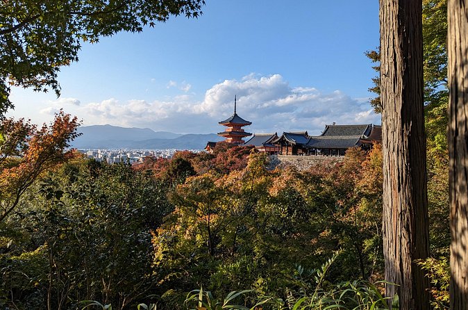 Tour in Kyoto with a Goverment Certified Tour Guide - Stops 8 and 9: Arashiyama Bamboo and Tenryu-ji Zen Calm