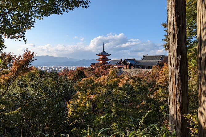 Tour in Kyoto with a Goverment Certified Tour Guide - A Realistic View of the Schedule: Crowds, Heat, and Time Slips