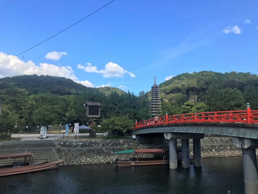 Uji: Green Tea Tour with Byodoin and Koshoji Temple Visits - Who should book this Uji green tea tour