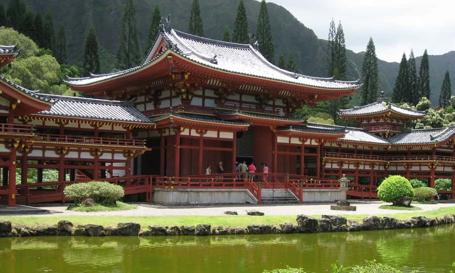 Uji: Green Tea Tour with Byodoin and Koshoji Temple Visits - The gyokuro lesson: how brewing changes flavor in real time