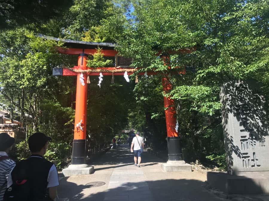 Uji: Green Tea Tour with Byodoin and Koshoji Temple Visits - What the 4-hour pace really feels like