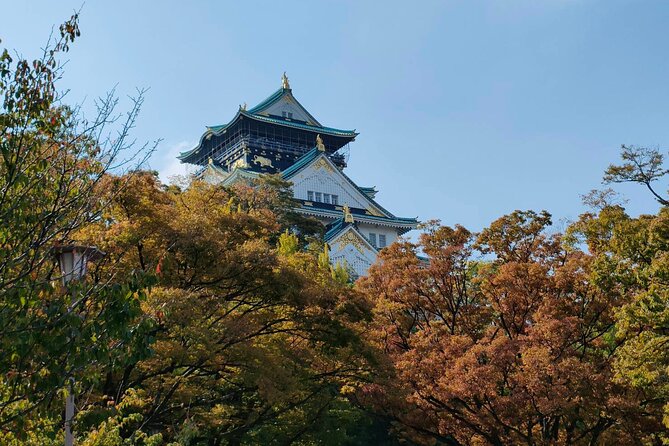 Ultimate Osaka Walking Tour: Castle, Dotonbori & Hidden Gems - Osaka Castle area: you get the setting, not the admission line
