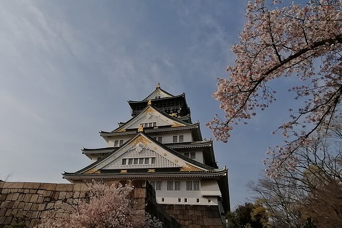 Walking Tour of Osaka's 5 Must-See Sights, with Ramen for Lunch - Meeting Point and Start Time: The Easy Part, If You Arrive Smart
