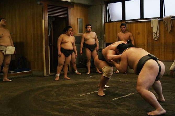 Watch Sumo Morning Practice at Stable in Tokyo - Watching Tokyo Sumo Morning Practice, What You Actually See