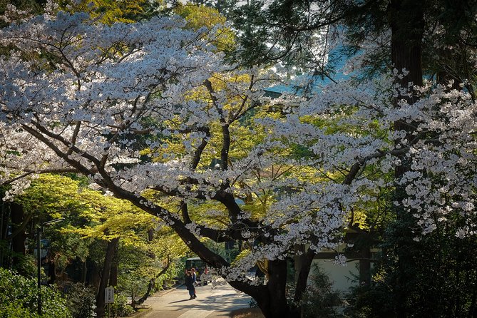When Emperors Reigned and Shoguns Ruled - Wakamiya Main Street to Tsurugaoka Hachimangu, The Shogun Setup