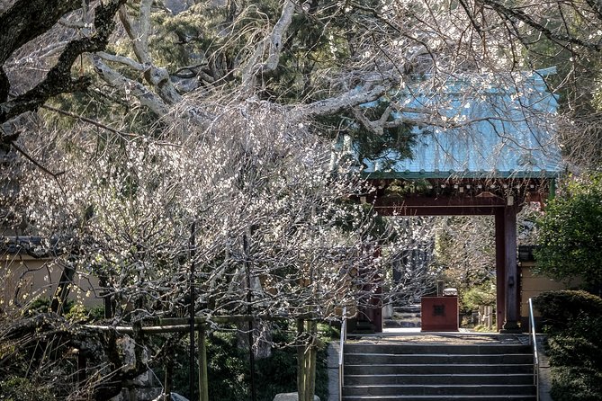 When Emperors Reigned and Shoguns Ruled - Komachidori Shopping Street, Snacks and Easy People-Watching