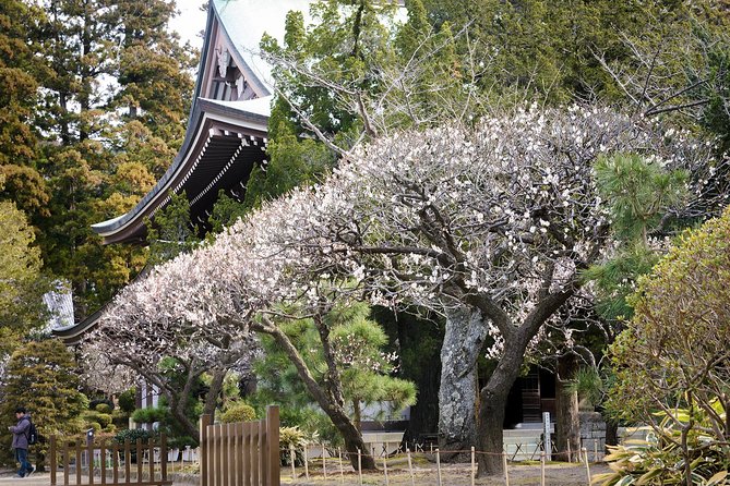 When Emperors Reigned and Shoguns Ruled - Kotoku-in and the Great Buddha, Most Photo-Ready and Most Impressive