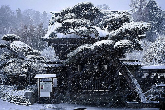 When Emperors Reigned and Shoguns Ruled - How the Photographer Guide Changes Your Day (In a Good Way)