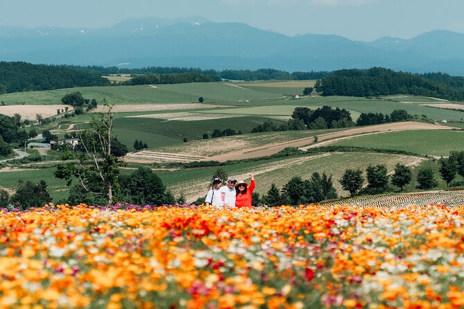 Wherever you want! 1-Day Private Tour from Sapporo to Furano more - Shakotan Peninsula Blue Line (Route 229): The Sea-View Detour That Pays Off