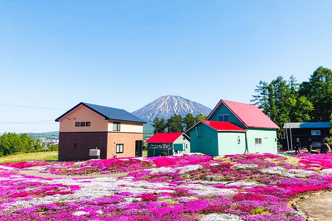 Wherever you want! 1-Day Private Tour from Sapporo to Furano more - Value and Price: What You’re Actually Paying For