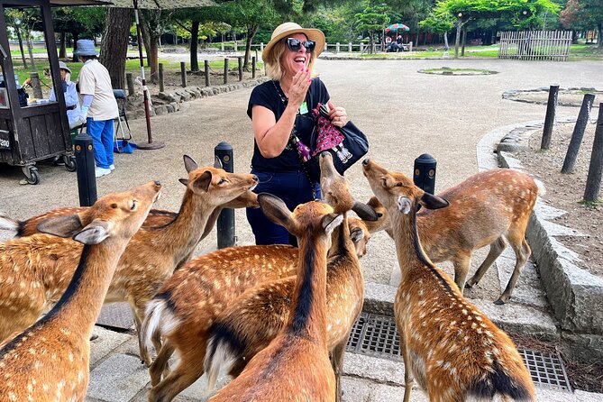World Heritage Kyoto & Nara Uji Authentic Matcha Experience - Key things that make this Kyoto, Nara and Uji day trip work
