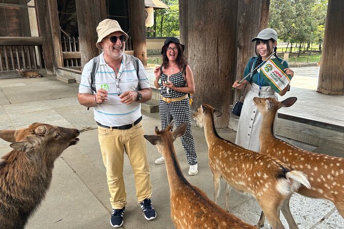 World Heritage Kyoto & Nara Uji Authentic Matcha Experience - Nara Park and the 1,400 deer, what you should know before you feed