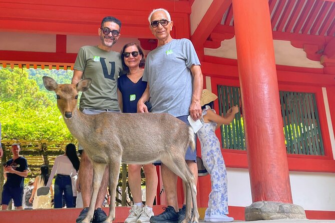World Heritage Kyoto & Nara Uji Authentic Matcha Experience - Heijo Palace area and the World Heritage connection in Nara