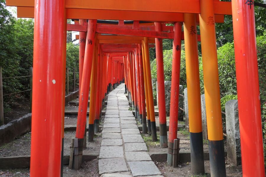 Yanaka District: Historical Walking Tour in Tokyo's Old Town - Key things that make this Yanaka tour worth your time