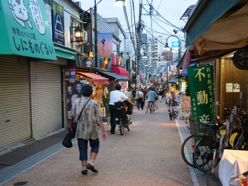 Yanaka District: Historical Walking Tour in Tokyo's Old Town - What to bring, what to wear, and weather reality