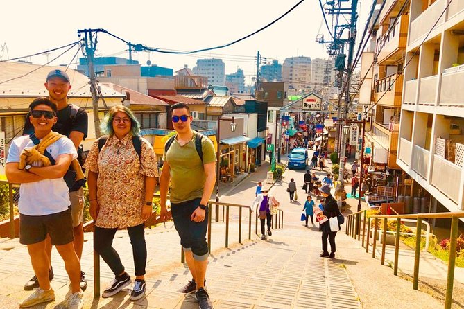 Yanaka Historical Walking Tour in Tokyo's Old Town - Yanaka Ginza shopping street: nostalgia, small shops, and snacks