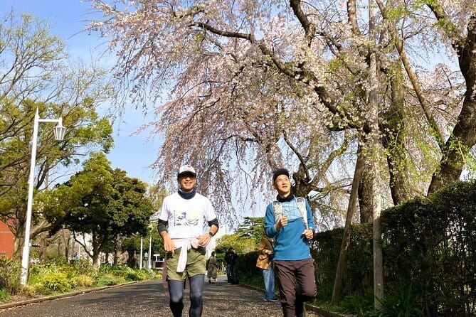 Yokohama Half Day Walking Tour with an Expert Local Guide - Sankeien Gardens, a Kyoto-like pause from the city rush